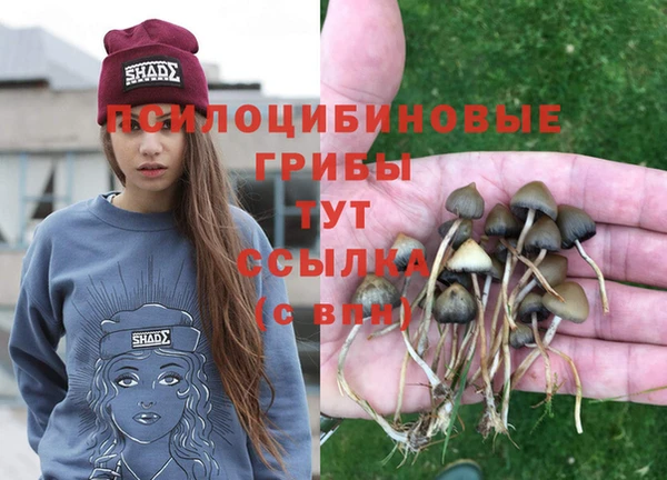 мескалин Абаза